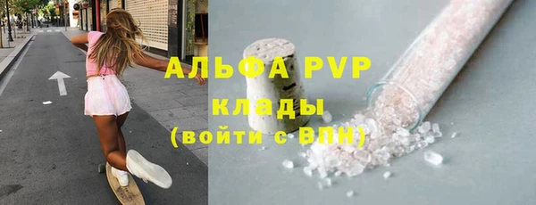 стафф Ростов
