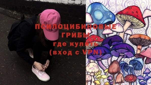 мяу мяу мука Верея