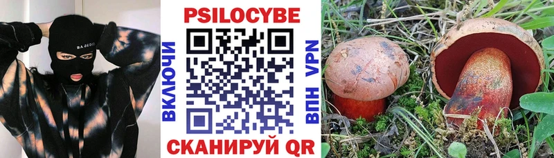 Галлюциногенные грибы Magic Shrooms  Вятские Поляны 